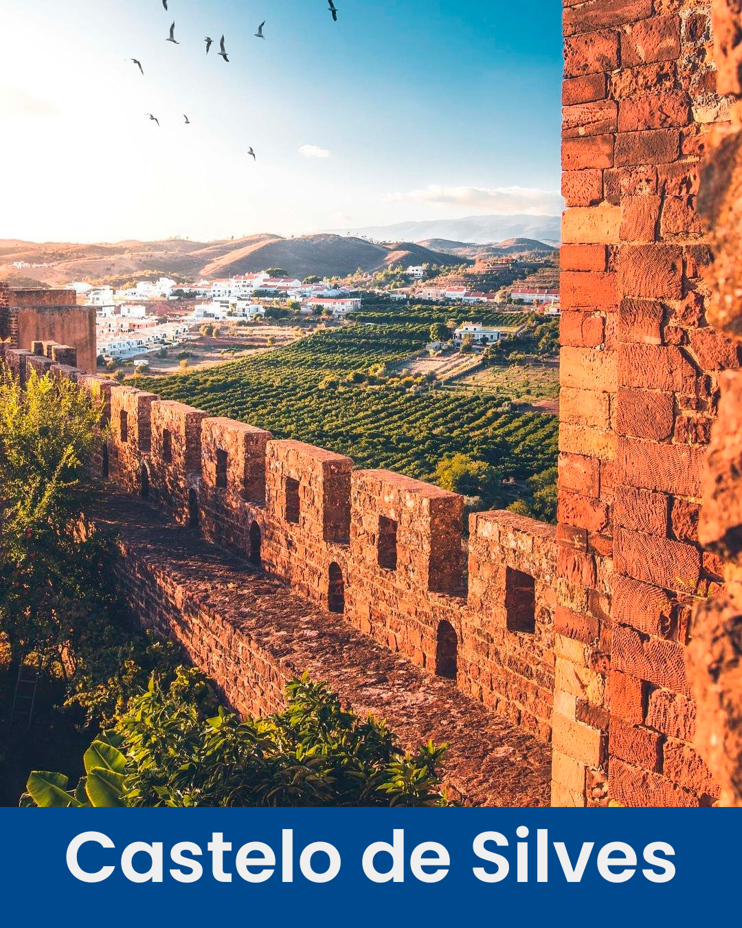 Castelo de Silves - 1080x1350